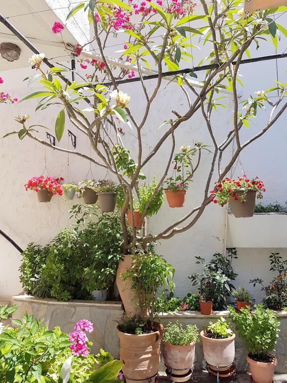الشقق الفندقية أغيا غالينيفي  Kalypso المظهر الخارجي الصورة